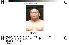 Takanohana to skip New Year sumo tournament