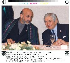 Karzai chats with Wolfensohn