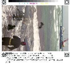 2 of 14 beached whales in Kagoshima Pref. still alive