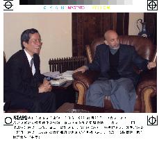 Japanese charge d'affaires holds talks with Karzai in Kabul