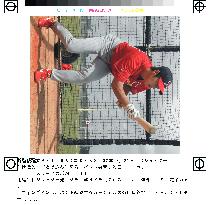 Taguchi joins Cardinals spring training