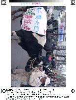 Farmers demand gov't compensation over mad cow
