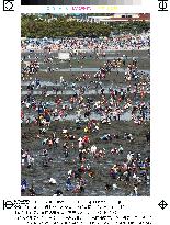 People enjoy seashell-digging in Chiba