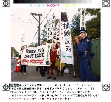 Antiwhaling campaign greets Koizumi