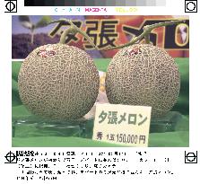 Season's first crop of 'Yubari' melon fetches 150,000 yen