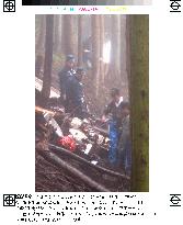 Investigators, police probe plane crash in Yamanashi Pref.