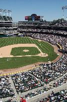 (2) MLB stadiums
