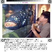 Robot fish 'Coelacanth' on display in Yokohama