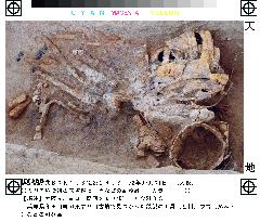 (2)Undisturbed treasures found in tumulus in Hyogo Pref.