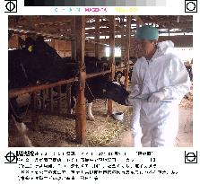 Kanagawa officials inspect dairy farm over mad cow disease