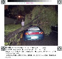 (3)Powerful typhoon to strike Tokyo, flights canceled