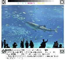 Huge aquarium opens in Okinawa Pref.