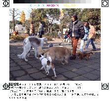 2 Tokyo parks open special areas where dogs can run free