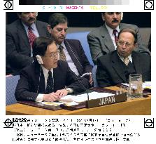 Japan calls new U.N. resolution on Iraq 'desirable'