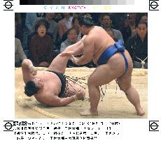 Chiyotaikai beaten to 10-3 in sumo tourney