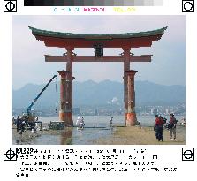 Repainting begins at Itsukushima Shrine's Torii gateway