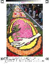 Kobe citizens enjoy ''flower-pedal pictures''