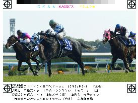 (1)Hishi Miracle gallops to Tenno-sho win