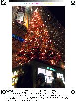 Christmas tree put up in Osaka