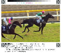 (1)Symboli Kris S scores back-to-back Tenno-sho wins