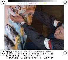 Hokkaido fishermen enjoy bountiful salmon catch