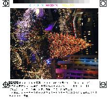Christmas tree lit at Rockefeller Center
