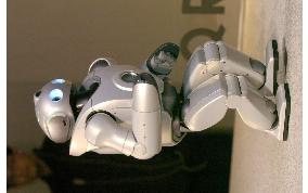 Sony says it developed humanoid robot capable of 'running'