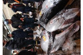 Year's 1st fish auction held at Tsukiji market