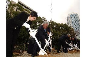 Trees planted in memory of Chinese killed in Kobe quake