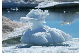 Duck-shaped ice figure formed on Antarctica