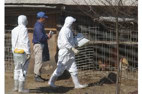 (1)Oita gov't starts inspections of poultry farms for bird flu