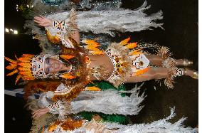(2)Japanese samba dancers shine in Rio's carnival parade