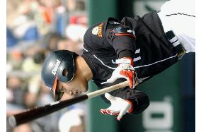 (3)Japanese preseason baseball games