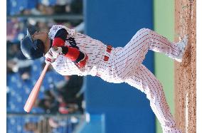 (2)Japan baseball preseason games