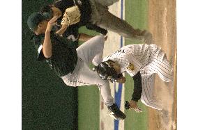 (6)Tigers-Devil Rays friendly in Tokyo