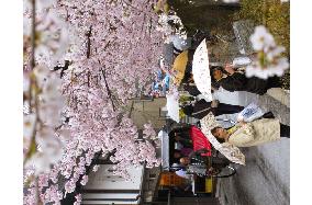 (2)Takayama Festival opens in central Japan