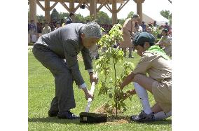Tree-planting festival held in Miyazaki Prefecture
