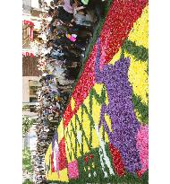 Ginza pedestrians charmed by flower carpet