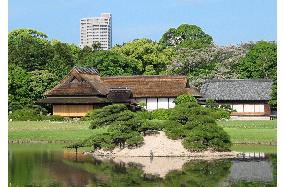 Visitors to Korakuen complain about high-rise