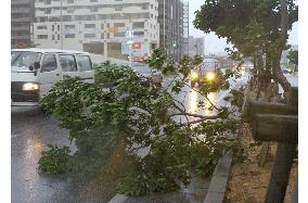 Powerful typhoon heading north