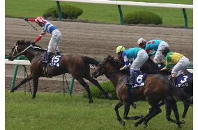 (1)Tap Dance City charges to victory at Takarazuka Kinen