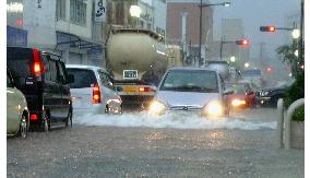 Typhoon Meari brings heavy rain to southern, western Japan