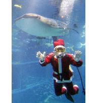 Santa Claus takes holiday plunge in aquarium