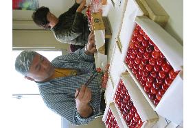 Yamagata farmer ships premium cherries