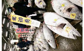 First fish auction of 2005 held at Tsukiji market