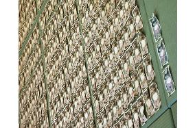 Boy finds 15 mil. yen in cash floating in irrigation ditch