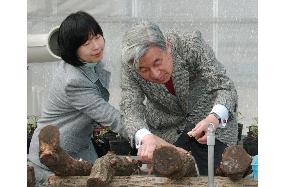 (2)Emperor Akihito, Empress Michiko, Princess Nori at rest
