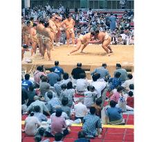 Sumo's local tournaments at a crossroads