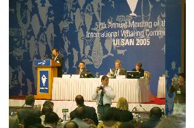 Whaling commission begins talks in Ulsan