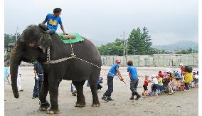 Elephant plays tug-of-war with child quake victims